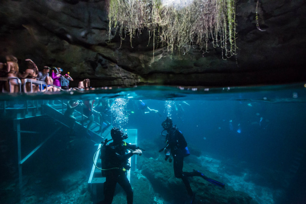 Devil's Den, Florida Cave Diving